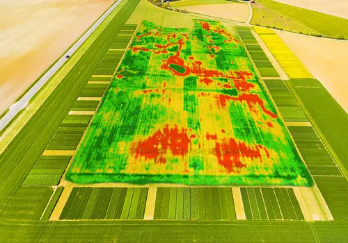 Illustrative Image of Precision agriculture